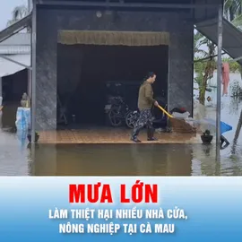 Podcast bản tin thời sự ngày 26-9: Thống kê thiệt hại do mưa lớn kéo dài tại Cà Mau