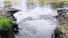 Một doanh nghiệp bị phạt 360 triệu đồng vì xả thải vượt quy chuẩn kỹ thuật ra môi trường