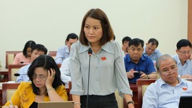 Đại biểu HĐND TPHCM phát biểu trong phiên thảo luận tổ tại Kỳ họp thứ 17 HĐND TPHCM khóa IX. Ảnh: VIỆT DŨNG