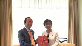 Vietnamese Deputy Minister of Natural Resources and Environment Vo Tuan Nhan and Japan’s state minister of the environment Yukari Sato. (Photo: VNA)