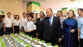 Prime Minister Nguyen Xuan Phuc visits a pavilion showcasing Hai Phong's agricultural products (Photo: VNA)