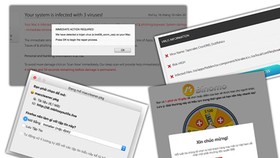 Users need to be careful when accessing new websites and advertisements due to possible malware. (Photo: SGGP)