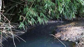 People dump the waste matter into a local stream, the oil quickly spread to a nearby canal, which led water from the Da (Black) River into a water treatment plant of the Song Da Water Investment, which supplies water to several districts in the western pa