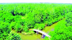 Enjoying fresh air in Lung Ngoc Hoang Nature Reserve
