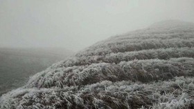 Ice, frost to reappear in Northern region from January, 2020
