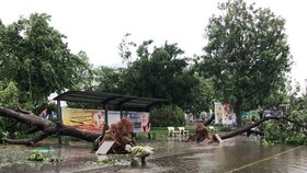 (Illustrative photo: the Central Steering Committee on Natural Disaster Prevention and Control))