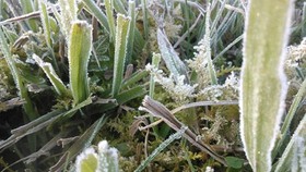 Northern region to welcome December in chilly temperature