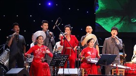 A music performance at the opening ceremony of Hozo 2019 (Photo:VNA)
