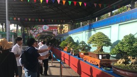 Khai mạc Lễ hội Bonsai – Suiseki Châu Á - Thái Bình Dương tại Khu du lịch Suối Tiên