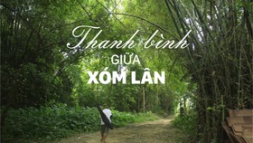 Thanh bình giữa xóm Lân