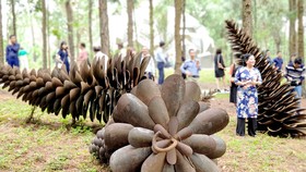 Không gian nghệ thuật trong rừng - Cơ hội của ngành điêu khắc