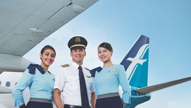 Từ cách nay 15 năm (3-1-2005), SilkAir – nhánh khu vực của Singapore Airlines - đã mạnh dạn mở đường bay kết nối đảo quốc Sư tử với Đà Nẵng - thành phố lớn nhất miền Trung Việt Nam