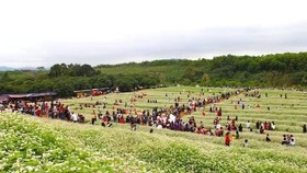 Cuối tuần này, thời tiết đẹp!