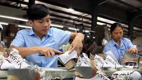 Vietnam is expected to have a 5.1 percent increase in salary in 2020 (Photo: VNA)