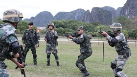 Illustrative photo (Photo: China Daily)