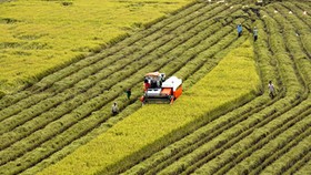 Vietnam was ranked fourth in Southeast Asia on the Economist Intelligence Unit food security index (Photo: VNA)