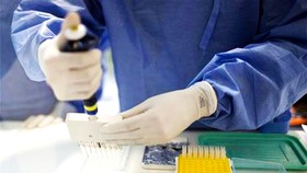Thử nghiệm vi khuẩn Wolbachia có khả năng ngăn chặn sự lây lan bệnh sốt xuất huyết tại Brazil
