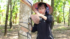 Tranh thủ ngày nghỉ học, Trang về Bình Phước, theo mẹ lên lô bóc mủ cao su thuê