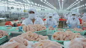 Bảo hộ thương hiệu để giữ thị phần xuất khẩu