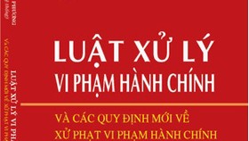 “Dìm hàng” doanh nghiệp khác, bị phạt đến 600 triệu đồng