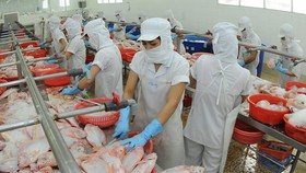 Cá, một trong những mặt hàng có thể thay thế thịt heo. Ảnh: THÀNH TRÍ