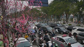 Bảo đảm trật tự, an toàn giao thông dịp tết
