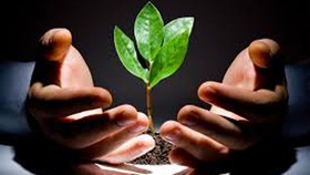 Ươm tạo 5 dự án khởi nghiệp đổi mới sáng tạo