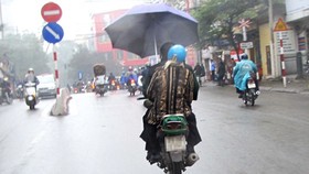 Phạt nhẹ khó răn đe