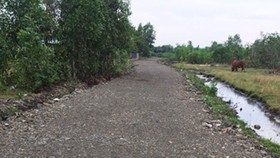Đề nghị điều tra vụ chuyển hơn 7.000m² đất công thành đất tư