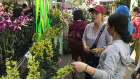 Phát triển sinh vật cảnh phù hợp với nông nghiệp đô thị