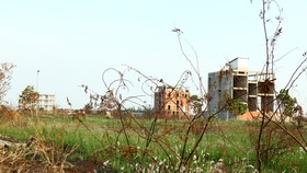 There must be highly progressive levels of land use tax to prevent unused or abandoned land. Photo: LONG THANH