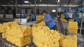 The investors expect the big names such as Vietnam Rubber Group-Joint Stock Company (GVR) to be listed.