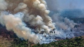 Australia: Nguy cơ nắng nóng và cháy rừng trầm trọng