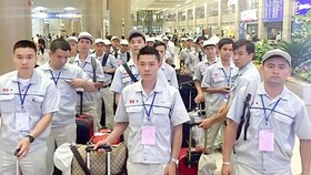 Lao động có kỹ năng đặc định Việt Nam đứng đầu tại Nhật Bản