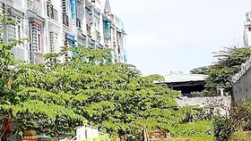 Lực lượng TNXP thành phố sử dụng nhà, đất, góp vốn không hiệu quả