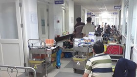 Nguy cơ cao dịch bệnh bùng phát