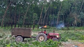 Xem xét báo cáo nghiên cứu khả thi dự án sân bay Long Thành giai đoạn 1