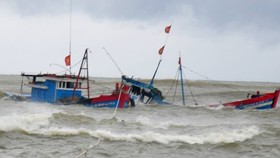 Kịp thời ứng cứu 12 ngư dân trên tàu cá bị chìm