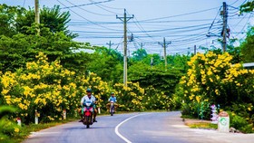 Đồng hành cùng nông thôn mới