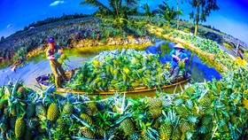 Xây dựng thương hiệu một Hậu Giang thân thiện
