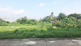 Bình Phước: Nhiều sai phạm trong quản lý đất tại các khu công nghiệp