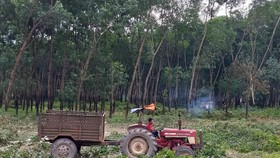 Nghịch lý bố trí vốn ngân sách ở dự án sân bay Long Thành