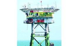 Sức sống đảo tiền tiêu