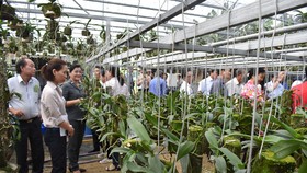 Tham gia HTX để phát triển kinh tế