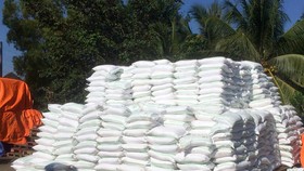 Triệt phá đường dây buôn lậu 1.000 tấn đường vào Việt Nam