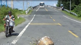 Đường Hồ Chí Minh đoạn Năm Căn - Đất Mũi xuống cấp nghiêm trọng