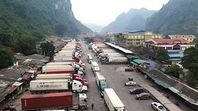 500 xe trái cây ùn ứ tại Lạng Sơn