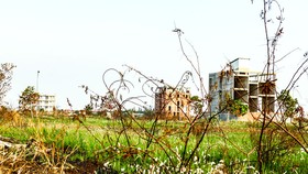 Thuế sử dụng đất cần mức lũy tiến cao để ngăn ngừa có đất nhưng không đưa vào sử dụng, bỏ hoang hóa. Ảnh: LONG THANH