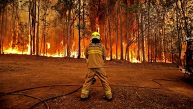 Hình: News Corp Australia