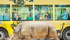 Vinpearl Safari đăng cai tổ chức hội nghị bảo tồn, phúc trạng động vật